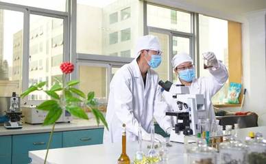 龍潤藥業(yè)榮獲2018年度云南省科學技術進步獎三等獎，彰顯農(nóng)業(yè)科研創(chuàng)新實力