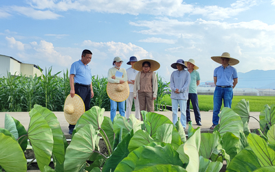 桂林市農(nóng)業(yè)科學研究中心赴賀州市農(nóng)業(yè)科學院開展農(nóng)業(yè)科研與試驗發(fā)展調研交流