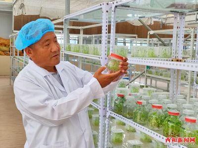 凝神謀發(fā)展 實(shí)干興隴原——“三抓三促”行動(dòng)專題報(bào)道 | 西和 民樂種業(yè) 實(shí)業(yè)興農(nóng) 以科研創(chuàng)新驅(qū)動(dòng)農(nóng)業(yè)現(xiàn)代化